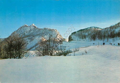 Cartolina Passo del Tomarlo 1983 grinze | Immagine principale