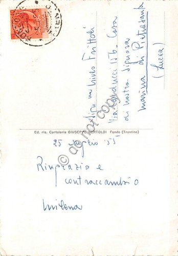 Cartolina Passo della Mendola Grand Hotel Penegal 1955