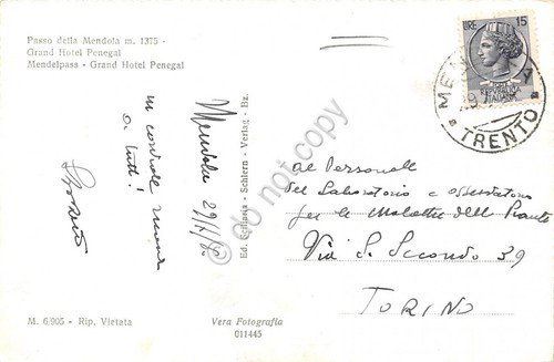 Cartolina Passo della Mendola Grand Hotel Penegal 1960