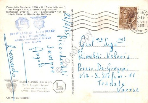 Cartolina Passo dello Stelvio Gatto delle nevi del Rifugio Livrio … | Immagine Gallery 2