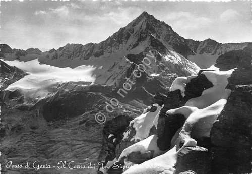 Cartolina Passo di Gavia Corno tre Signori anni '50 (Brescia) | Immagine principale