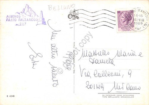 Cartolina Passo Falzarego veduta e stelle alpine (Belluno) | Immagine Gallery 2