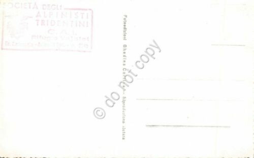 Cartolina Passo Pordoi Sassolungo Cima Pordoi Timbro Alpinisti Tridentini | Immagine Gallery 2