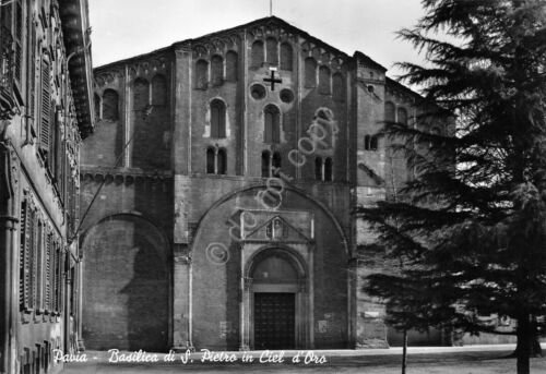 Cartolina Pavia Basilica S. Pietro in Cile d'Oro 1951