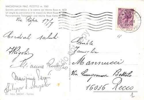 Cartolina Pecetto Macugnaga Panorama e Monte Rosa 1970 (Verbania) | Immagine Gallery 2