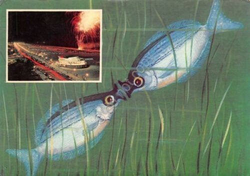 Cartolina Pesce Baciuccone 1975 | Immagine principale
