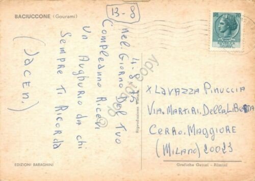 Cartolina Pesce Baciuccone 1975 | Immagine Gallery 2