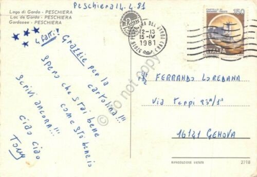 Cartolina Peschiera vedute barche Nave Italia 1981 (Verona) | Immagine Gallery 2