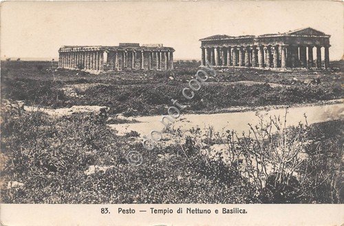 Cartolina Pesto Tempio di Nettuno e Basilica | Immagine principale