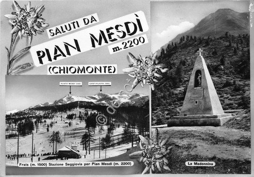 Cartolina Pian Mesdì Chiomonte vedutine stella alpina 1957