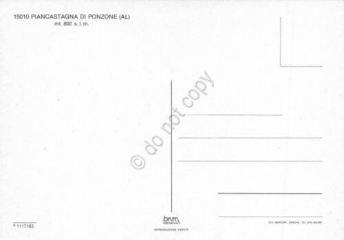 Cartolina Piancastagna di Ponzone panorama