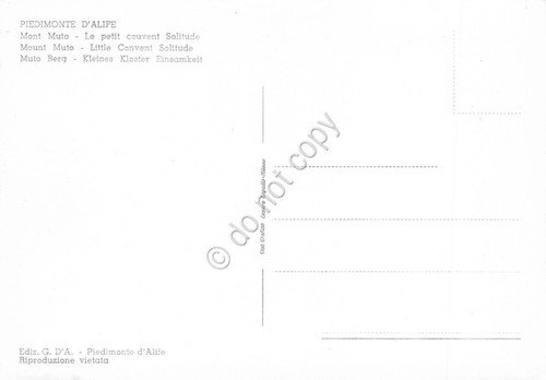 Cartolina Piedimonte d'Alfie Monte Muto Conventino Solitudine anni '50 | Immagine Gallery 2