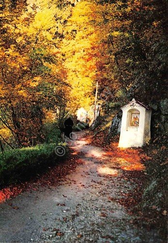Cartolina Piedimonte Matese Monte Muro Viale della Via Crucis anni … | Immagine principale