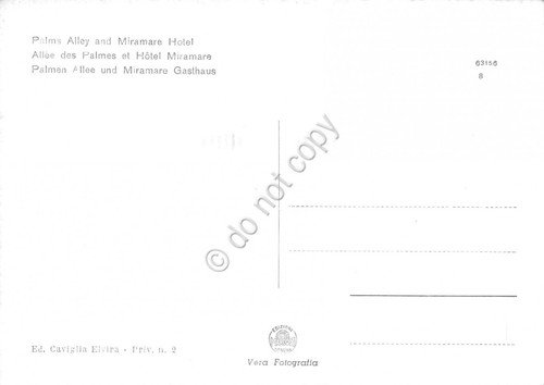 Cartolina Pietra Ligure Albergo Miramare Viale delle Palme anni '50