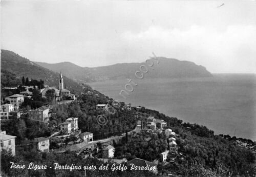 Cartolina Pieve Ligure Portofino dal Golfo Paradiso NVG (Genova)