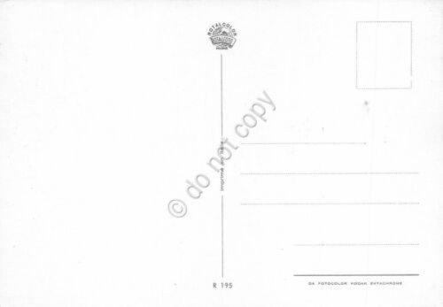 Cartolina Pin Up bruna con prendisole | Immagine Gallery 2