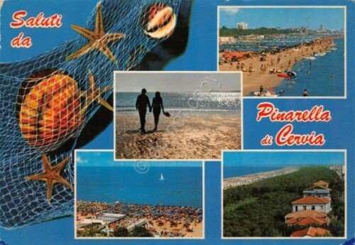 Cartolina Pinarella di Cervia vedute conchiglie 1978 (Ravenna) | Immagine principale