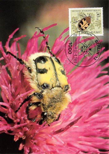 Cartolina Pinselkafer timbro filatelico 1984