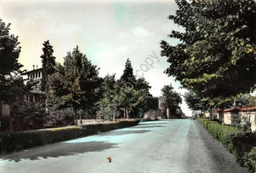 Cartolina Piovera Viale dei Tigli Via Balbi 1963 colorata segnata