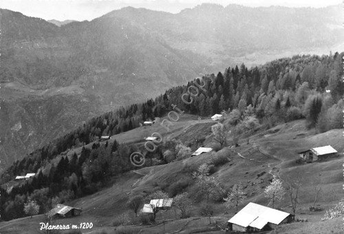 Cartolina Planezza Panorama con case 1965 | Immagine principale