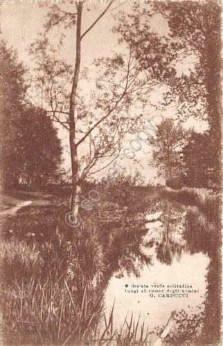 Cartolina poesia Carducci bosco e fiume anni '10 (Altre cartoline)