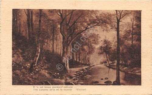 Cartolina Poesia Mazzoni bosco e ruscello anni '20 (Altre cartoline) | Immagine principale