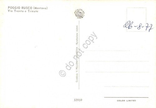 Cartolina Poggio Rusco Via Trento Trieste
