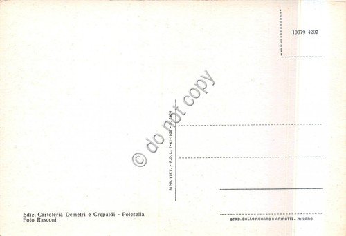 Cartolina Polesella Palazzo Municipale | Immagine Gallery 2