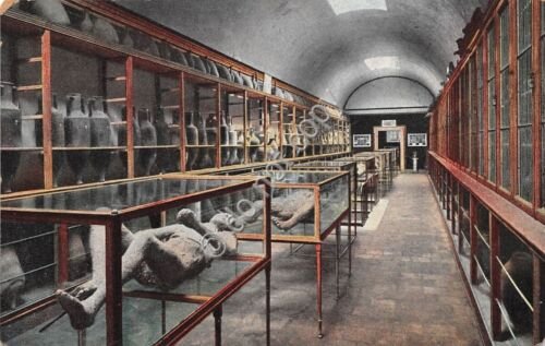 Cartolina Pompei Museo Interno
