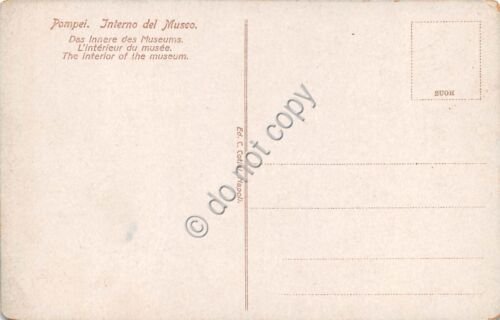 Cartolina Pompei Museo Interno