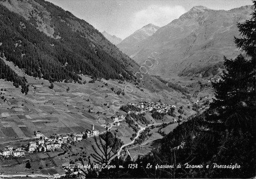 Cartolina Ponte di Legno Frazioni Zoanno e Precasaglio 1959