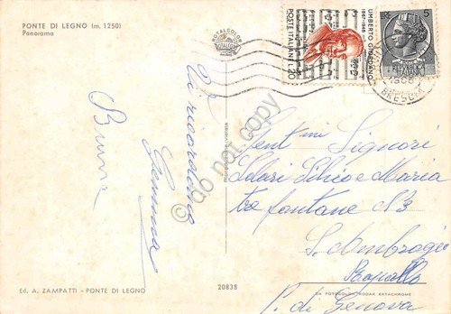 Cartolina Ponte di Legno panorama 1958