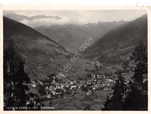Cartolina Ponte di Legno Panorama paese dall'alto 1952 | Immagine principale