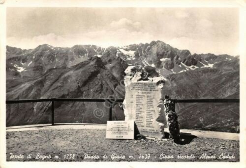 Cartolina Ponte di Legno Passo di Gavia Cippo ricordo Alpini … | Immagine Gallery 1