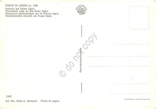 Cartolina Ponte di Legno scorcio sul fiume Oglio con case