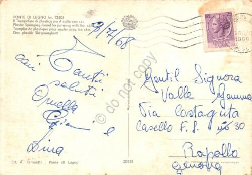 Cartolina Ponte di Legno Trampolino di Plastica per salto con …