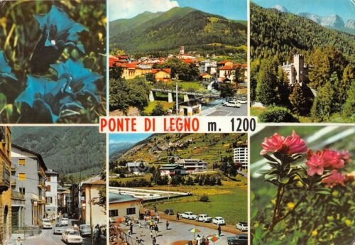 Cartolina Ponte di Legno vedute e fiori 1970 (Brescia)