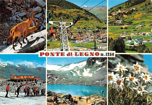 Cartolina Ponte di legno vedute varie seggiovia lago panorama 1977