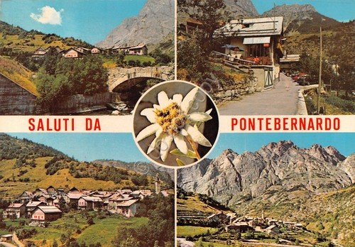 Cartolina Pontebernardo vedute 1952 stella alpina (Cuneo) | Immagine principale