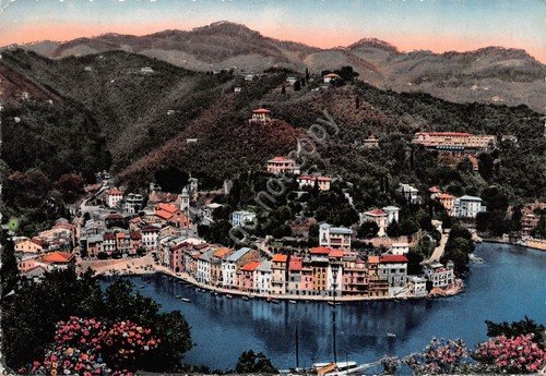 Cartolina Portofino Panorama Hotel Splendid 1954 (Genova) | Immagine principale