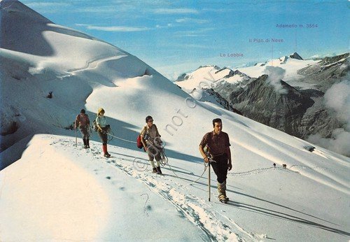 Cartolina Presanella Cordata animata | Immagine Gallery 1