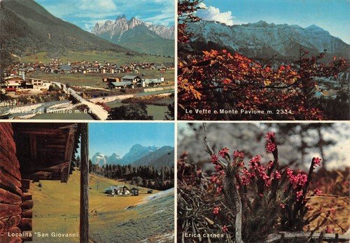 Cartolina Primiero Vedutine (Trento)