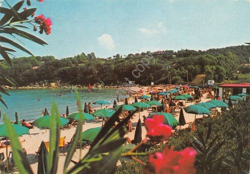 Cartolina Procchio Isola d' Elba Hotel Desiree spiaggia 1986 (Livorno) | Immagine principale