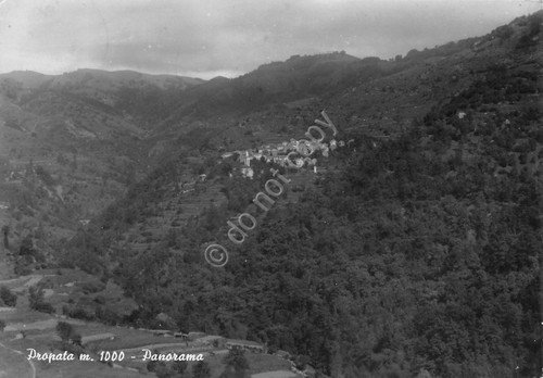 Cartolina Propata panorama 1955