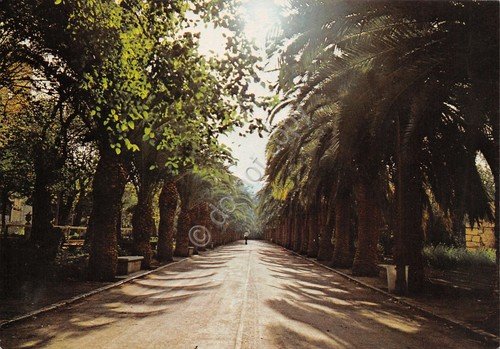 Cartolina Ragusa Ibla Viale del giardino Ibleo | Immagine principale