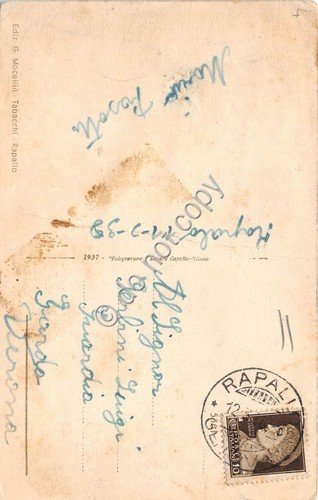 Cartolina Rapallo Panorama 1938