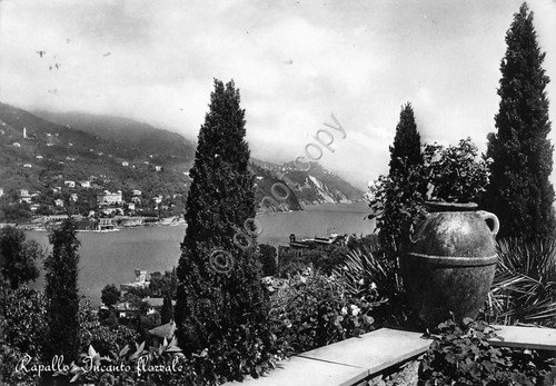 Cartolina Rapallo panorama parziale 1956 (Genova)