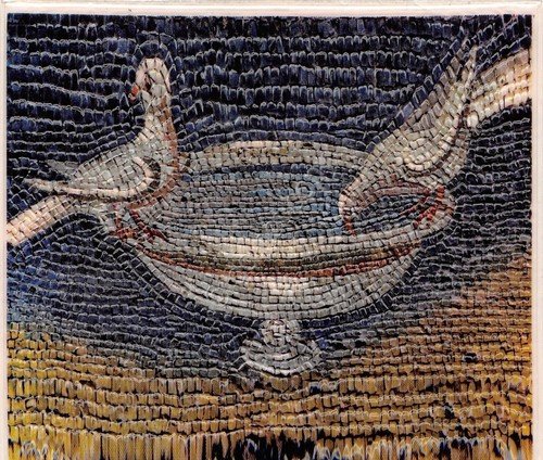 Cartolina Ravenna Galla Placida Le colombine che si abbeverano in … | Immagine principale