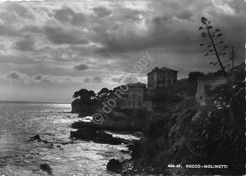 Cartolina Recco Molinetti 1950 | Immagine principale