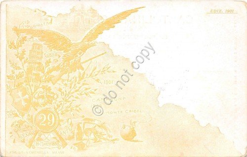 Cartolina Reggimentale 29° Reggimento Fanteria Brigata Pisa | Immagine principale